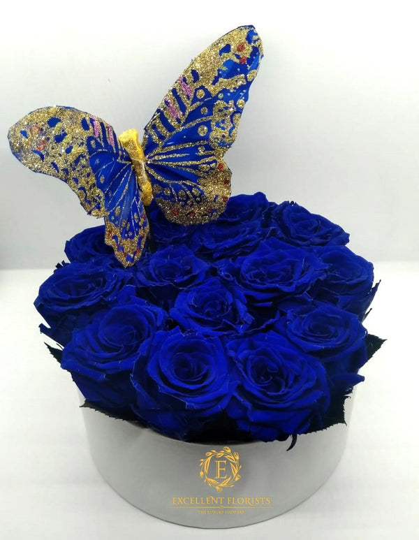 Medium Round Royal Blue Box of Preserved Roses