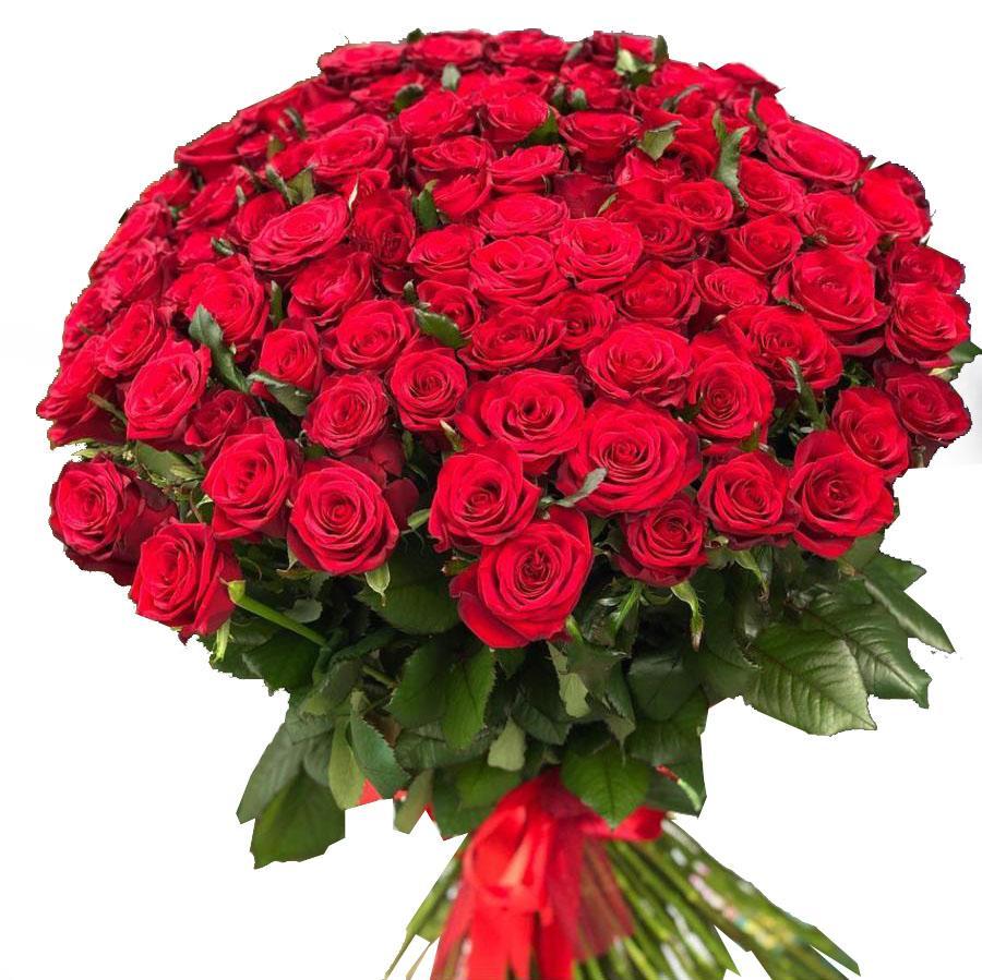 200 Red Roses Bouquet Vase not included