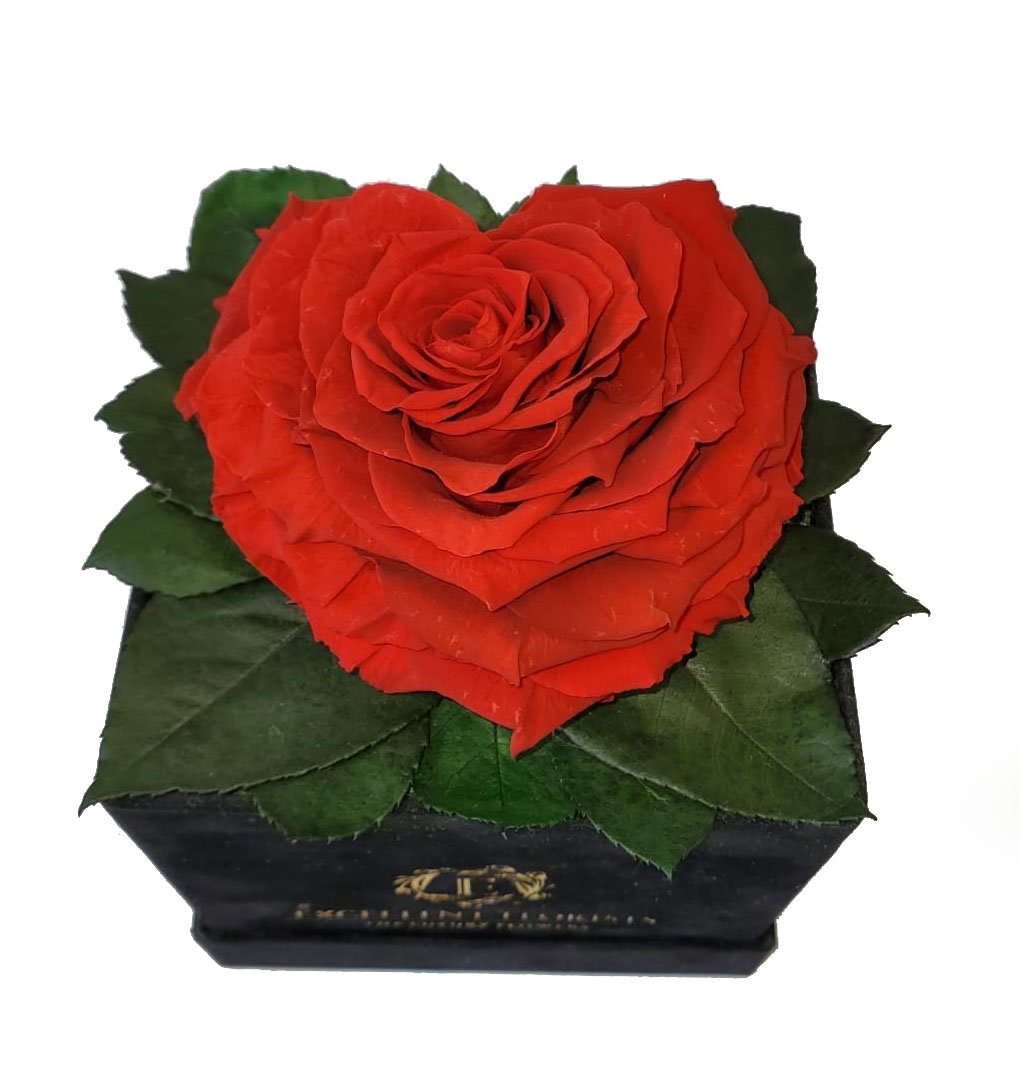 Bright Red Heart shape preserved rose
