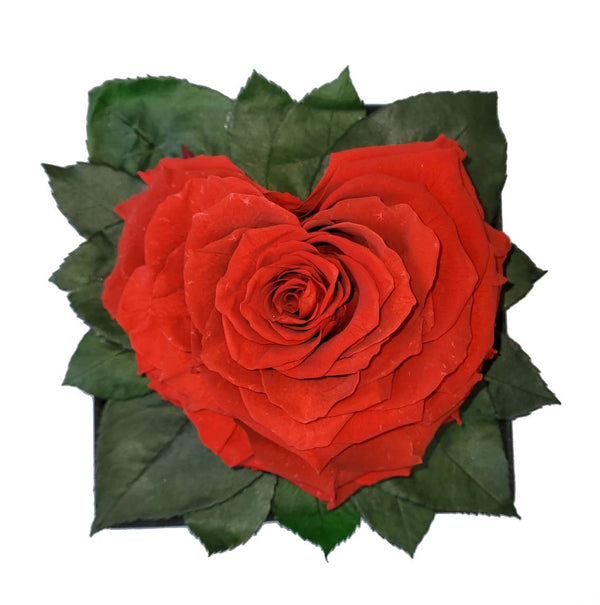 Bright Red Heart shape preserved rose