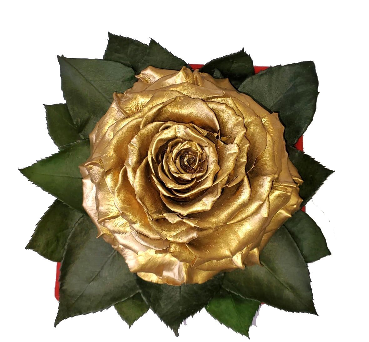 Golden preserved rose