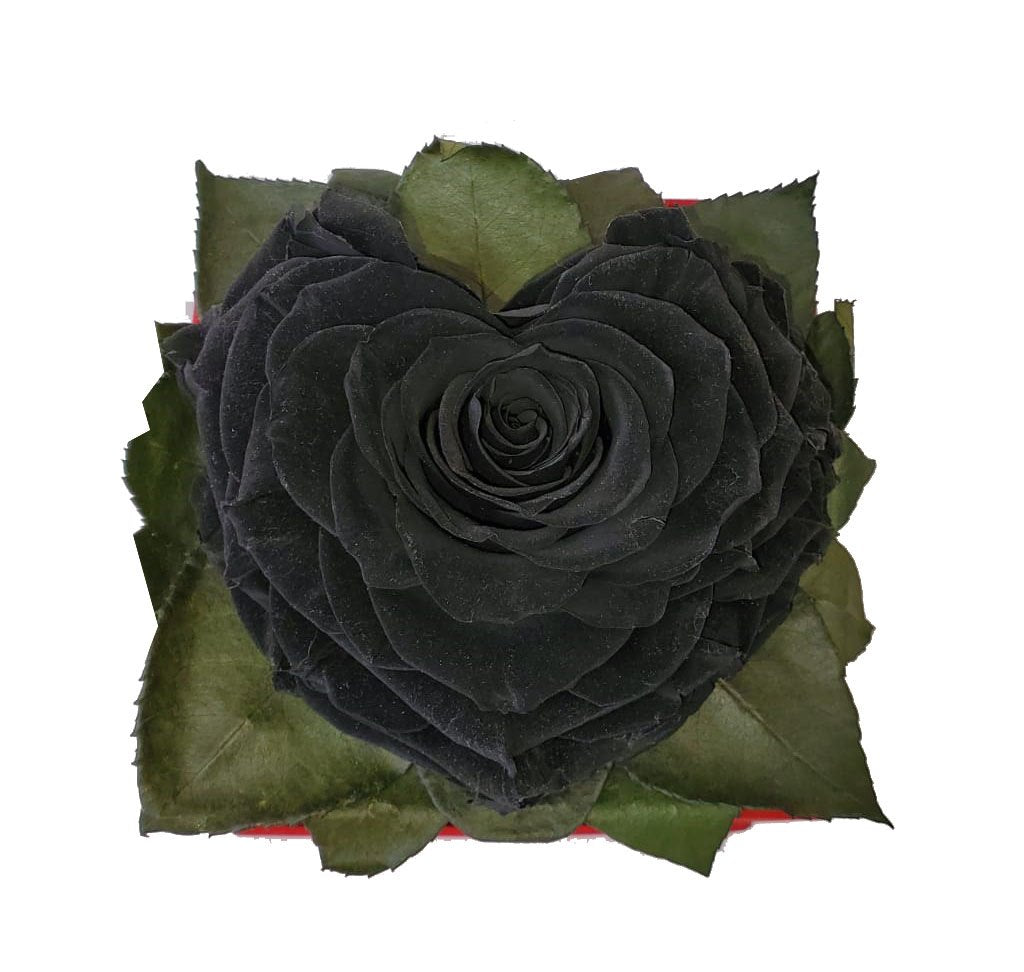 Black Heart shape preserved rose