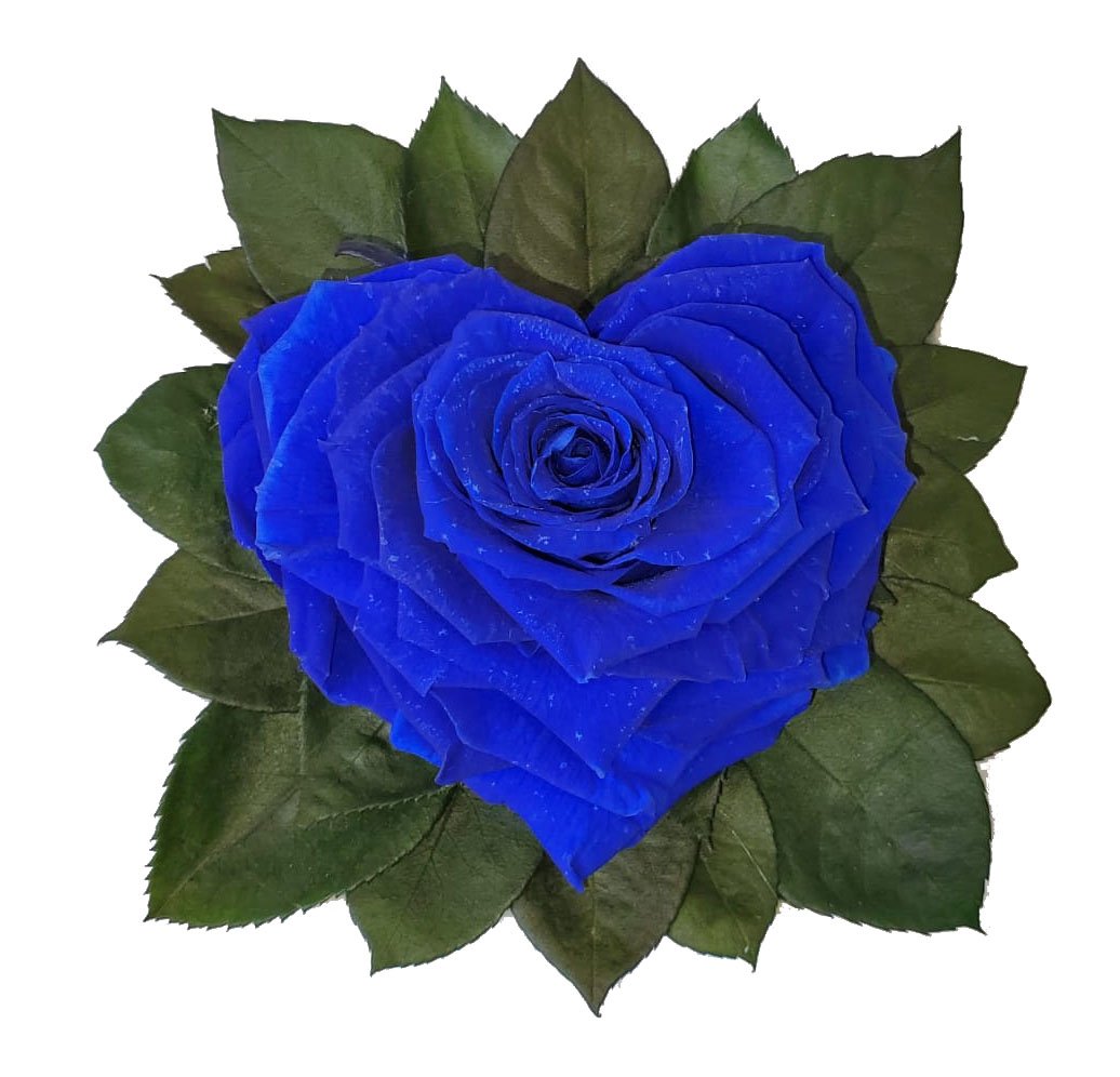 Blue Heart shape preserved rose