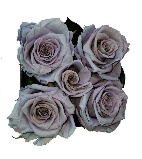 Small Square Lavender Preserved Roses