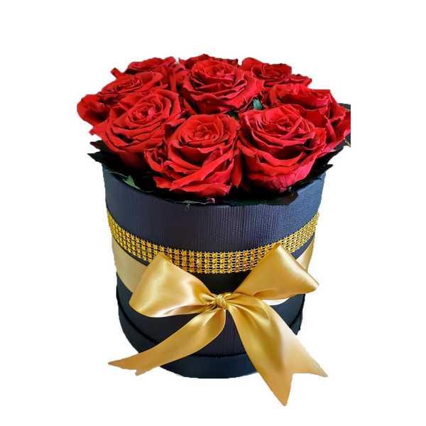 Medium Preserved Red Roses in a Black Box with Gold Ribbon