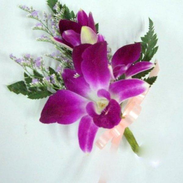 Dendrobium Orchid Purple - Excellent Florists 