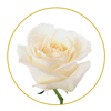 Bouquet 50 stems Playa Blanca roses