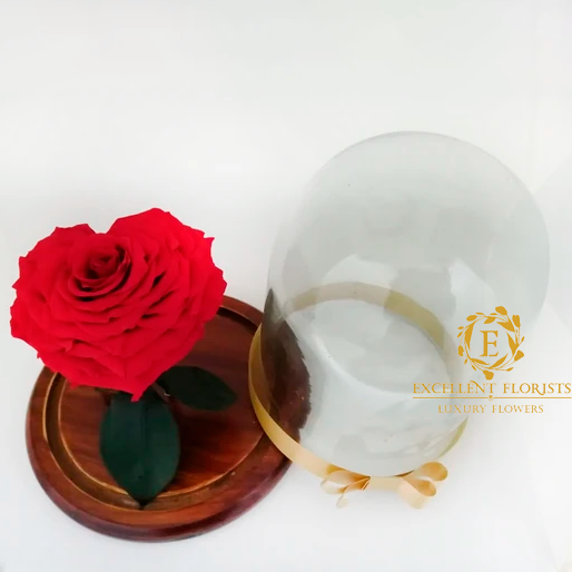 Heart-Shaped Preserved Jumbo Rose in a Dome