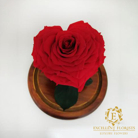 Heart-Shaped Preserved Jumbo Rose in a Dome