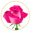 Bouquet 50 stems Topaz roses
