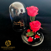 Two Red Preserved Red Bright Roses in a Glass Dome