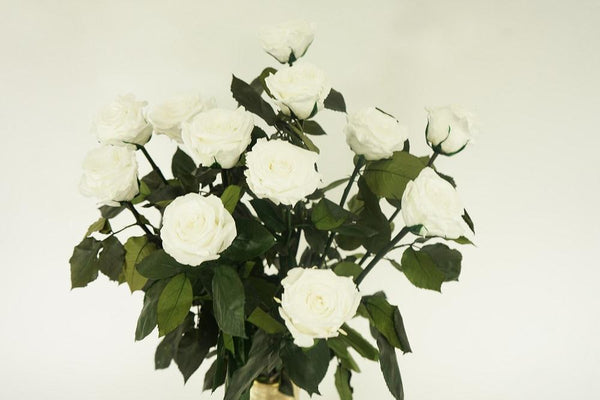LONG STEM WHITE PRESERVED ROSES LUXURY BOUQUET 2 - Excellent Florists 