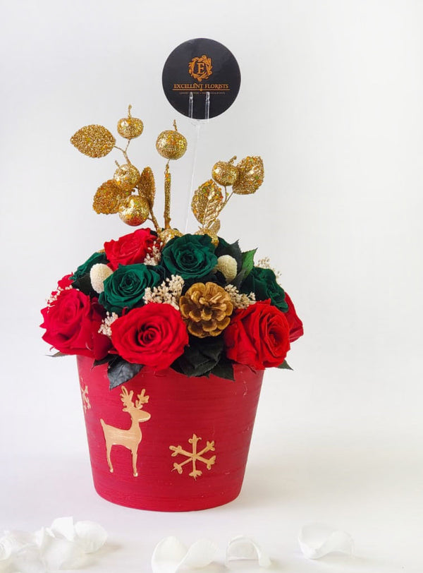 Christmas Preserved Rose Arrangement in a red vase
