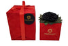 Open my heart | Red box | Black Jumbo Preserved Rose