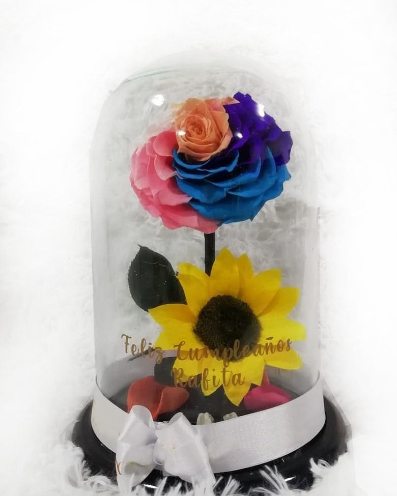 Preserved Bicolor Rose a Sunflower in a Medium Dome
