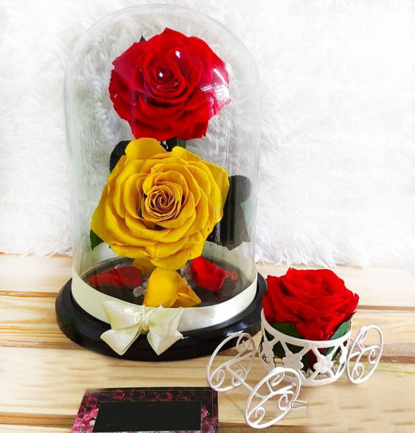 Preserved Yellow and Red Roses in a Medium Dome