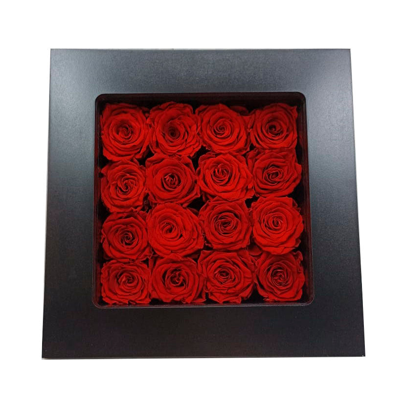 Wall Frame with Preserved Red Roses (Black Frame)