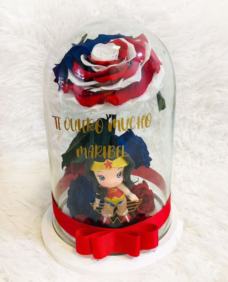 Wonder Woman and Rose in a Dome
