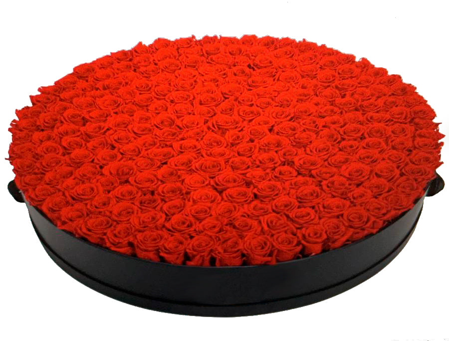 Deluxe big round preserved roses box