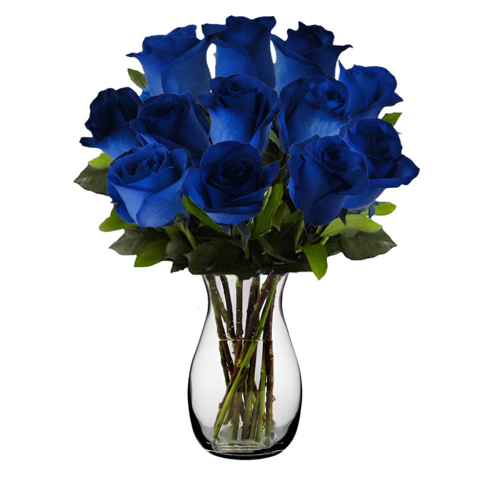 Dozen blue roses arranged in a clear glass vase