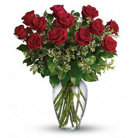 One dozen red Ecuadorian roses arranged in a glass vase