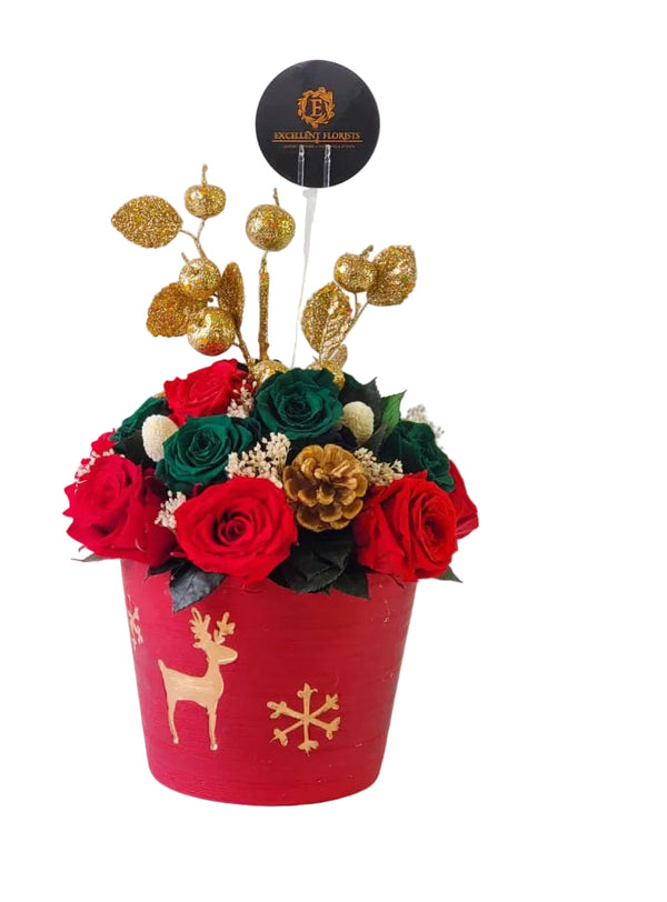 Eternity Christmas preserved roses arranged in a festive red vase by Excellent Florists
