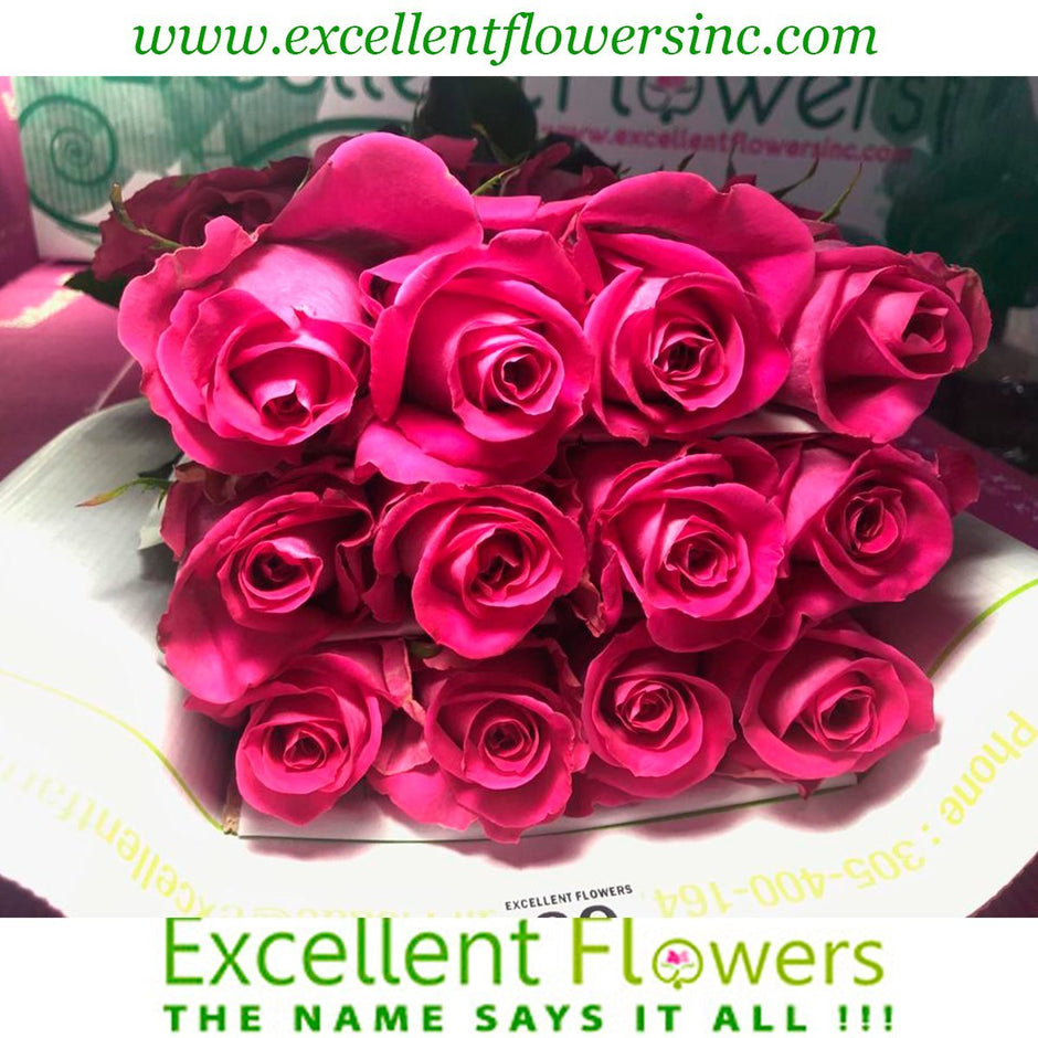 Doral Florist and Miami Florist Excellent Florists Flower Delivery