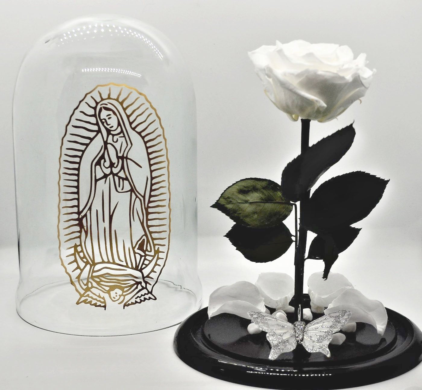 Guadalupe´s Rose in a Dome