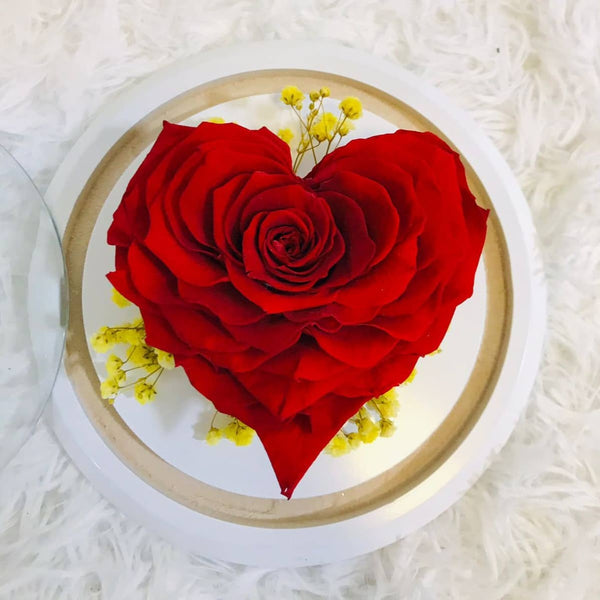 Preserved Heart Jumbo Red Rose in a Small Dome