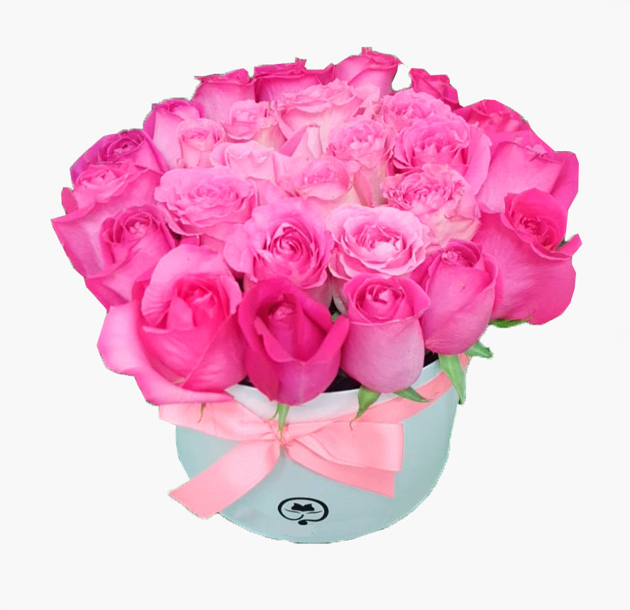 Two Dozen Roses in a Round Box - Pure Pink