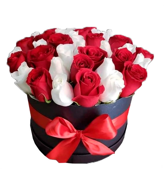 Two Dozen Roses in a Round Box - Bi-Color