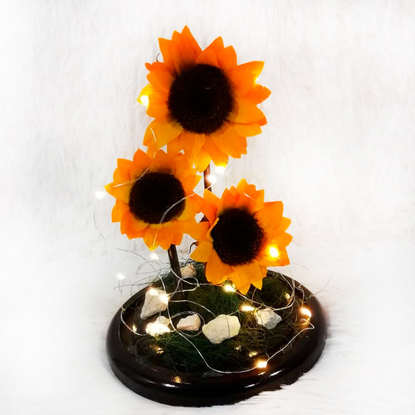 Sunflowers natural preserved in a Dome with lights  Excellent Florists Luxury Flowers.