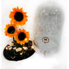 Sunflowers natural preserved in a Dome with lights  Excellent Florists Luxury Flowers.