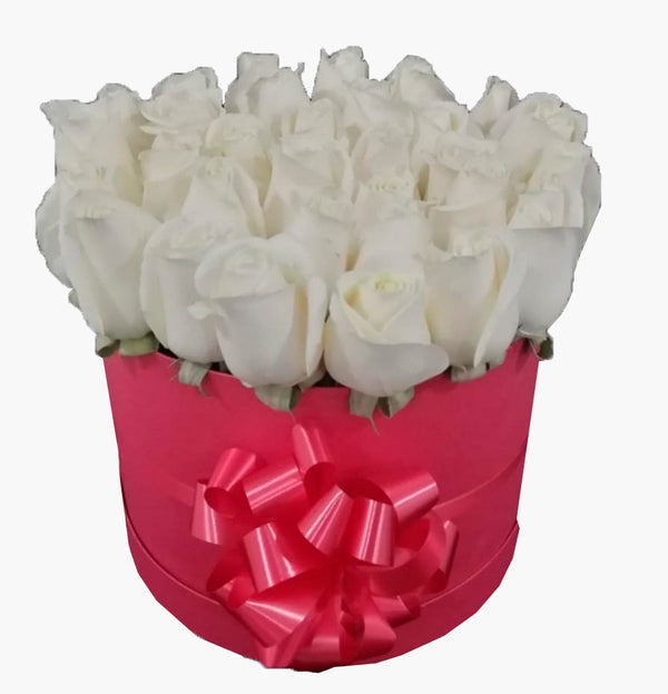 Two Dozen Roses in a Round Box - Pure White